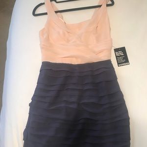 Express Dress size 4